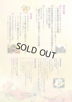 画像3: 「anemone アネモネ１１月号」　神聖幾何学特集　日本ダウジング協会加藤展生「ラビリンス」＆ジェイソン・クイット「ヨセフコード」記事掲載号