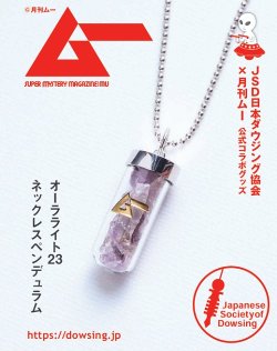 画像1: オーラライト２３ネックレスペンデュラム