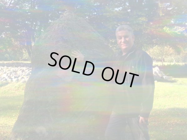 画像10: 海外トップダウザーたちによるスペシャルトークイベント【インターナショナルダウジングデー2022・特別企画】