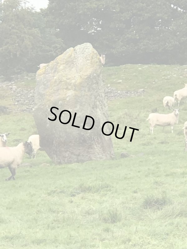 画像4: 【エナジーダウジングレベル１講座修了者限定】復習会（質問会）