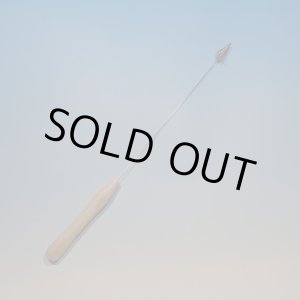 画像: ダイアグノスティックロッド