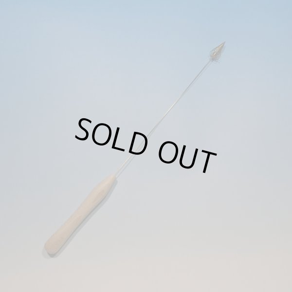 画像1: ダイアグノスティックロッド