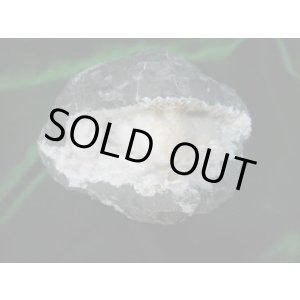 画像: オケナイト　原石