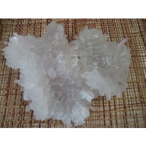 画像: アメジストフラワー