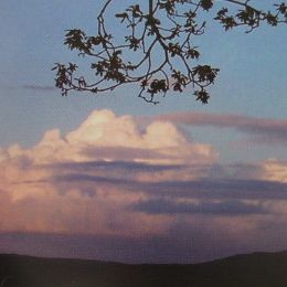 画像: ペンデュラムの意義