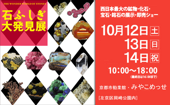 画像: 石ふしぎ大発見展　京都ショーに出展します。